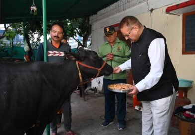 मंत्री जोशी ने नयागांव स्थित गौशाला में की गोवर्धन पूजा