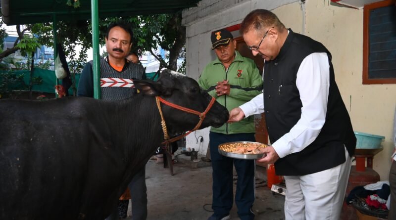 मंत्री जोशी ने नयागांव स्थित गौशाला में की गोवर्धन पूजा